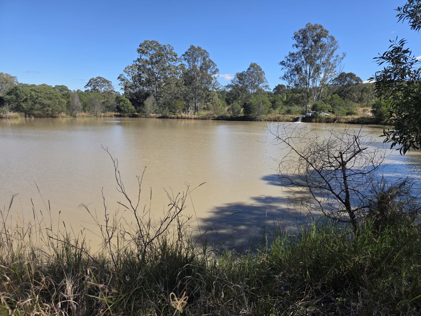 Turbid water in a settling pond