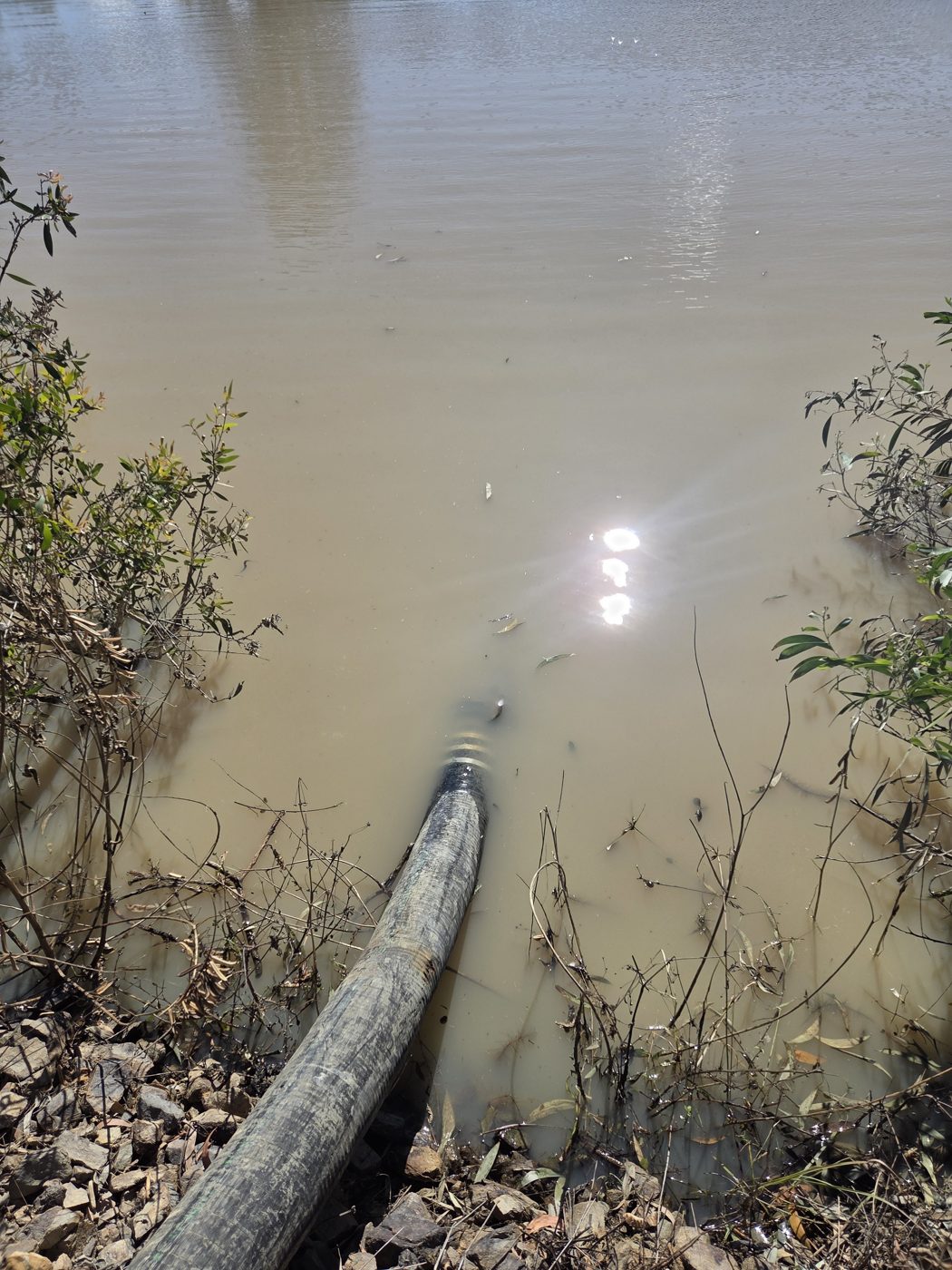 Pump discharge pipe at a lake edge